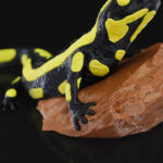 Gecko Heykel
