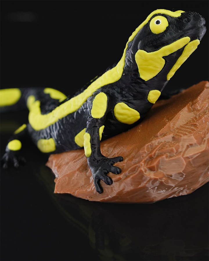 Gecko Heykel