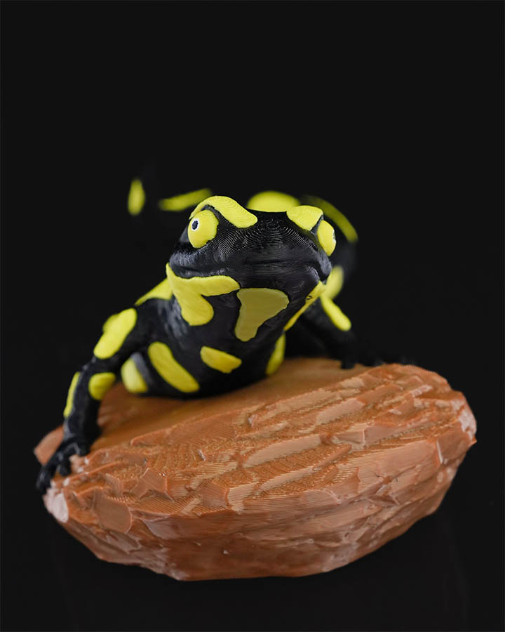 Gecko Heykel