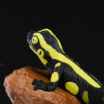 Gecko Heykel