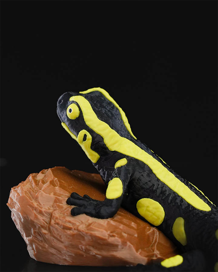 Gecko Heykel