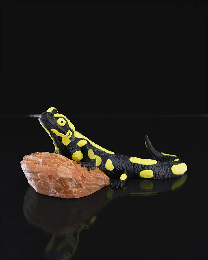 Gecko Heykel